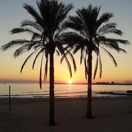 酒店 Acacia Marina 拉古萨的码头